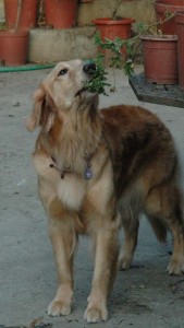 1380945195-706369805