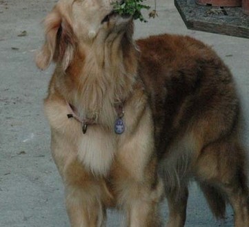 1380945195-706369805