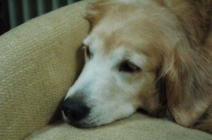 1380945197-3181711030