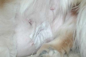 1380945197-727681146