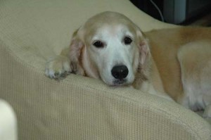 1380945198-1910940641