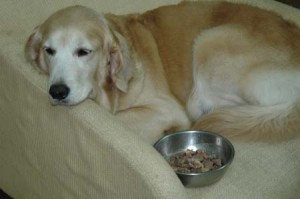 1380945198-2550075119