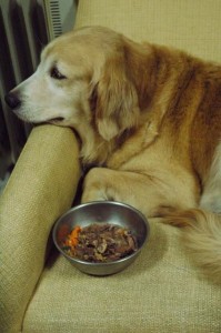 1380945198-4049525039