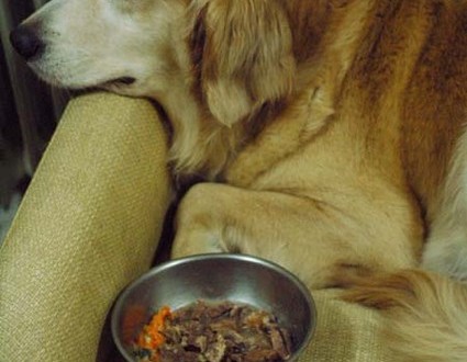 1380945198-4049525039