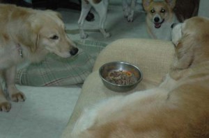 1380945199-1188631514