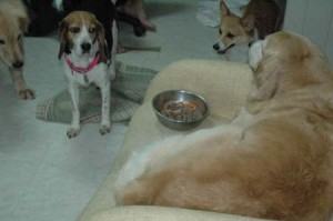 1380945199-126201478