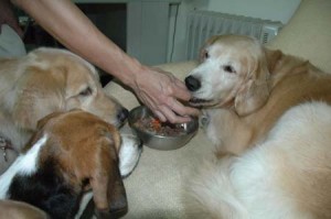 1380945200-2139607159