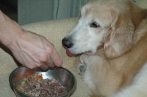 1380945200-3113800104