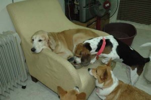 1380945200-3361520647