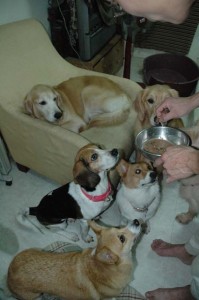 1380945201-1545069283