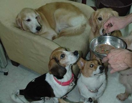 1380945201-1545069283