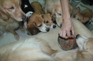 1380945201-4272521202