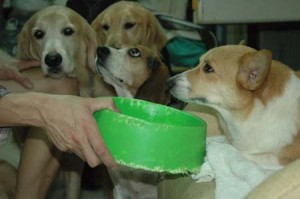 1380945202-1954848887