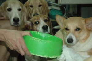 1380945203-3308220419