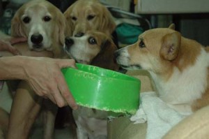 1380945203-3996201093