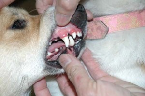 1380945204-173998300