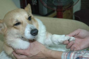 1380945204-720538051