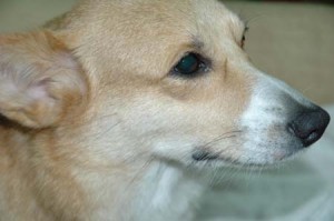 1380945205-120557056