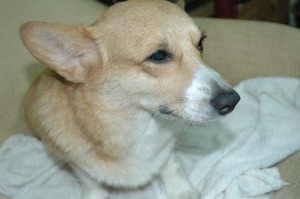 1380945205-3663645106