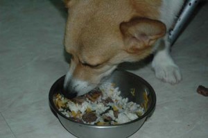 1380945206-3910215763