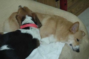 1380945206-574203130