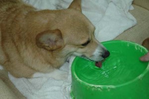 1380945207-2949072987