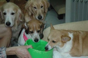 1380945207-492700989