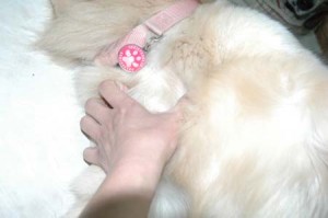 1380945209-3981356910