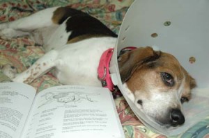 1380945211-1635625796