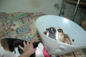 1380945211-2990198841