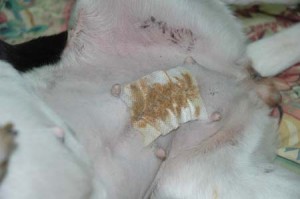 1380945211-308715384