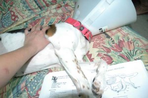 1380945212-1727839735