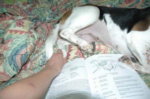 1380945212-4170676537