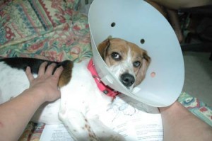 1380945213-504487485