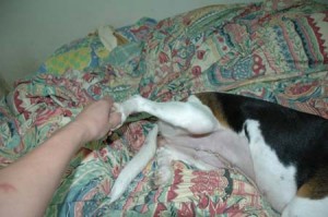 1380945213-983169090