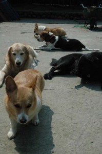 1380945214-1360280660