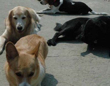 1380945214-1360280660