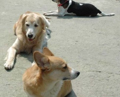 1380945215-1267135063