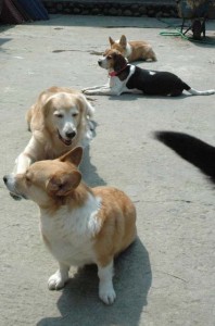 1380945215-1832454458