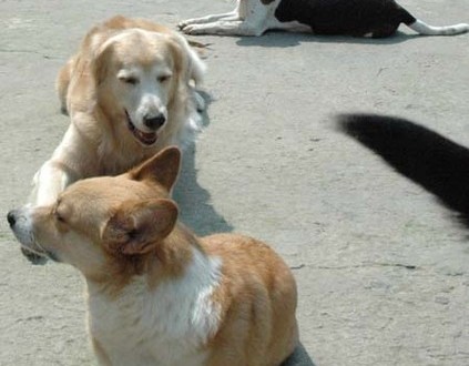 1380945215-1832454458