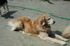 1380945216-1618824702