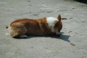 1380945216-3590322789