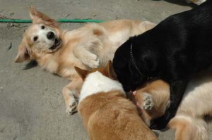 1380945217-1596731710