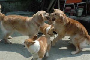 1380945217-2063297906