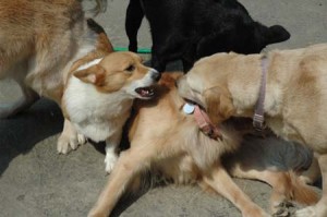 1380945217-660122500