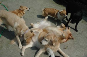 1380945218-1221032744