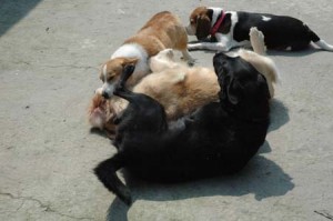 1380945218-2245929740