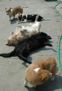 1380945219-1227224879