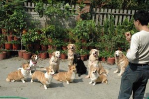 1380945219-1774082079