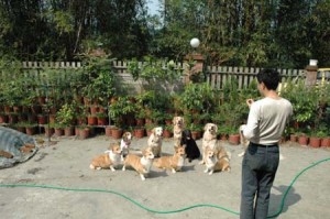 1380945219-670006464